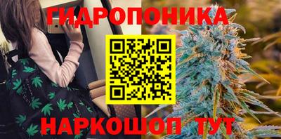 скорость Заводоуковск