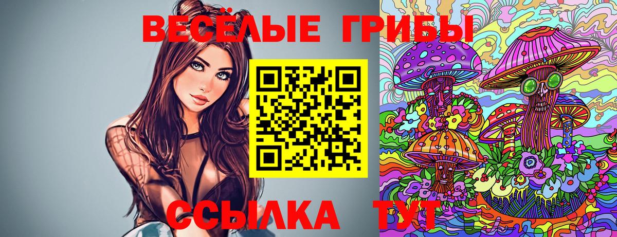 Псилоцибиновые грибы Cubensis Лабытнанги