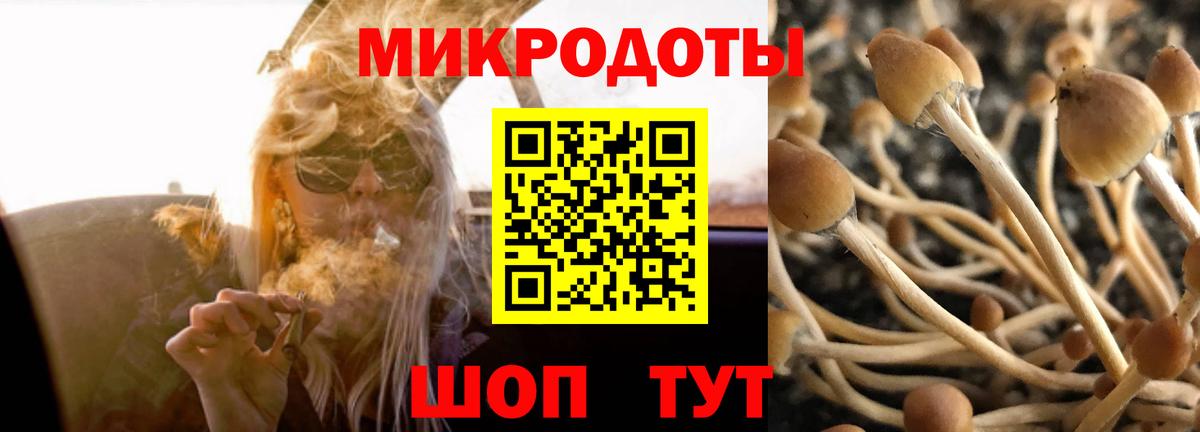 Псилоцибиновые грибы Magic Shrooms  Вход с VPN  Лабытнанги 